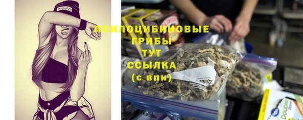скорость mdpv Белокуриха
