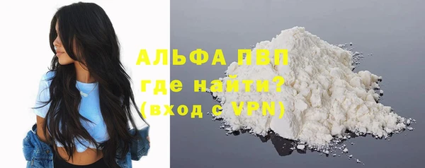 СК Медвежьегорск