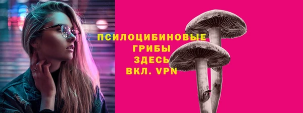 СК Медвежьегорск